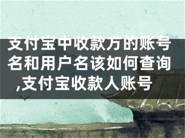 支付宝中收款方的账号名和用户名该如何查询,支付宝收款人账号