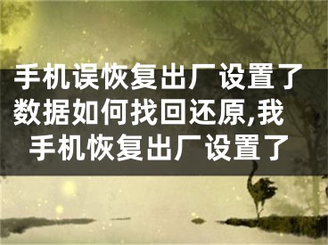 手机误恢复出厂设置了数据如何找回还原,我手机恢复出厂设置了