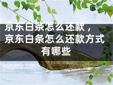 京东白条怎么还款 ,京东白条怎么还款方式有哪些
