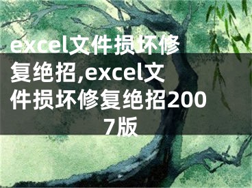 excel文件损坏修复绝招,excel文件损坏修复绝招2007版