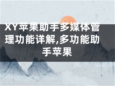XY苹果助手多媒体管理功能详解,多功能助手苹果