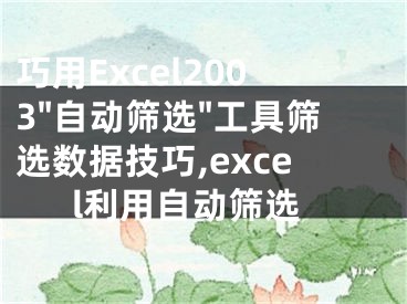 巧用Excel2003"自动筛选"工具筛选数据技巧,excel利用自动筛选