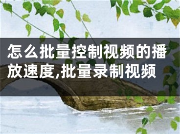 怎么批量控制视频的播放速度,批量录制视频