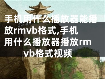 手机用什么播放器能播放rmvb格式,手机用什么播放器播放rmvb格式视频