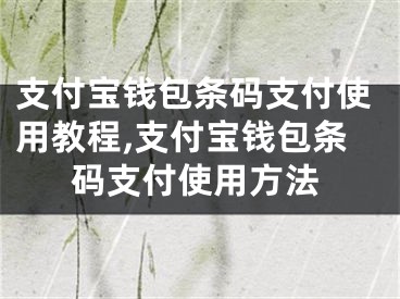 支付宝钱包条码支付使用教程,支付宝钱包条码支付使用方法