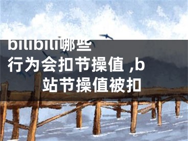 bilibili哪些行为会扣节操值 ,b站节操值被扣