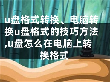 u盘格式转换、电脑转换u盘格式的技巧方法,u盘怎么在电脑上转换格式