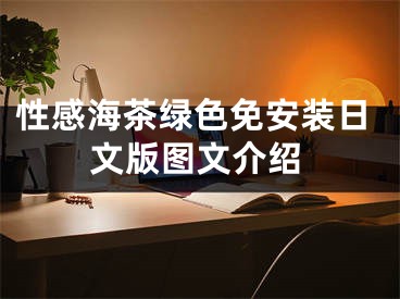 性感海茶绿色免安装日文版图文介绍