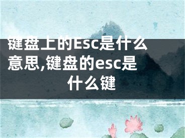 键盘上的Esc是什么意思,键盘的esc是什么键
