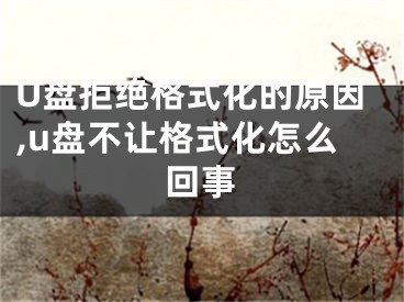 U盘拒绝格式化的原因,u盘不让格式化怎么回事