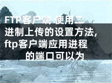 FTP客户端 使用二进制上传的设置方法,ftp客户端应用进程的端口可以为