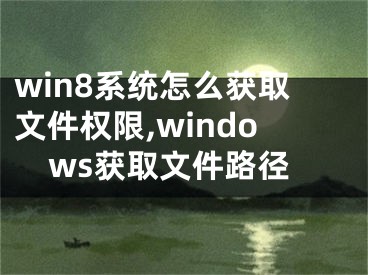 win8系统怎么获取文件权限,windows获取文件路径