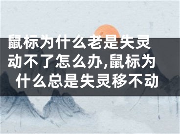 鼠标为什么老是失灵 动不了怎么办,鼠标为什么总是失灵移不动