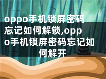 oppo手机锁屏密码忘记如何解锁,oppo手机锁屏密码忘记如何解开