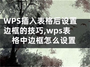 WPS插入表格后设置边框的技巧,wps表格中边框怎么设置