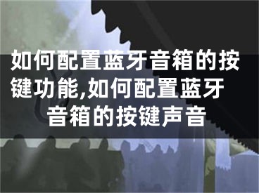 如何配置蓝牙音箱的按键功能,如何配置蓝牙音箱的按键声音