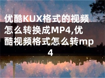 优酷KUX格式的视频怎么转换成MP4,优酷视频格式怎么转mp4