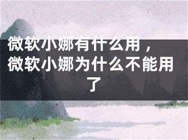 微软小娜有什么用 ,微软小娜为什么不能用了