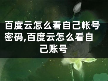 百度云怎么看自己帐号密码,百度云怎么看自己账号