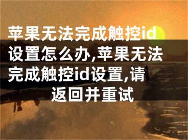 苹果无法完成触控id设置怎么办,苹果无法完成触控id设置,请返回并重试