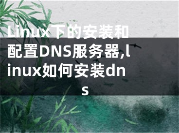Linux下的安装和配置DNS服务器,linux如何安装dns