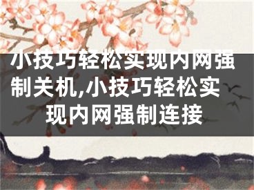 小技巧轻松实现内网强制关机,小技巧轻松实现内网强制连接