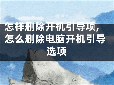 怎样删除开机引导项,怎么删除电脑开机引导选项