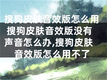搜狗皮肤音效版怎么用 搜狗皮肤音效版没有声音怎么办,搜狗皮肤音效版怎么用不了