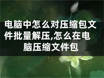 电脑中怎么对压缩包文件批量解压,怎么在电脑压缩文件包