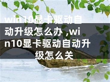 win10显卡驱动自动升级怎么办 ,win10显卡驱动自动升级怎么关