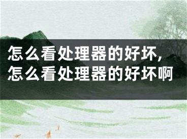 怎么看处理器的好坏,怎么看处理器的好坏啊
