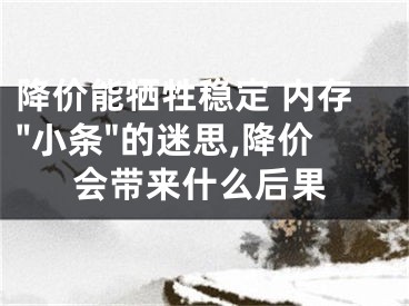 降价能牺牲稳定 内存"小条"的迷思,降价会带来什么后果