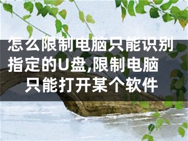 怎么限制电脑只能识别指定的U盘,限制电脑只能打开某个软件
