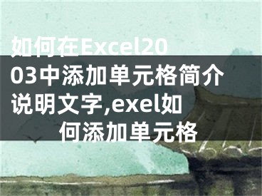 如何在Excel2003中添加单元格简介说明文字,exel如何添加单元格