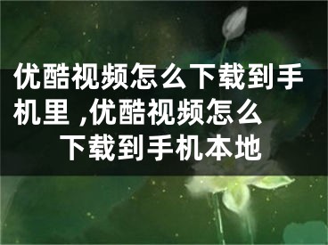 优酷视频怎么下载到手机里 ,优酷视频怎么下载到手机本地