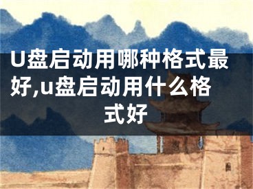 U盘启动用哪种格式最好,u盘启动用什么格式好
