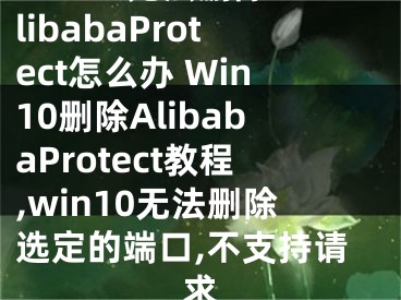 Win10无法删除AlibabaProtect怎么办 Win10删除AlibabaProtect教程,win10无法删除选定的端口,不支持请求