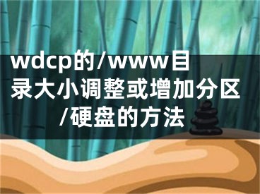 wdcp的/www目录大小调整或增加分区/硬盘的方法