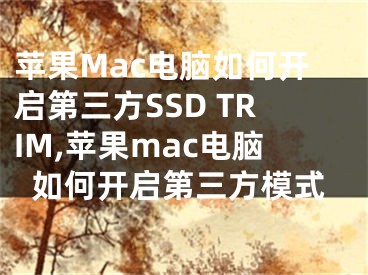 苹果Mac电脑如何开启第三方SSD TRIM,苹果mac电脑如何开启第三方模式