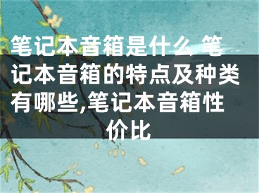 笔记本音箱是什么 笔记本音箱的特点及种类有哪些,笔记本音箱性价比