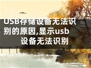USB存储设备无法识别的原因,显示usb设备无法识别