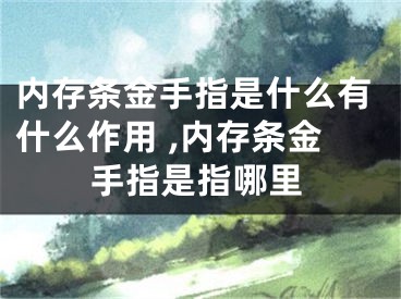 内存条金手指是什么有什么作用 ,内存条金手指是指哪里