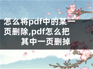 怎么将pdf中的某一页删除,pdf怎么把其中一页删掉