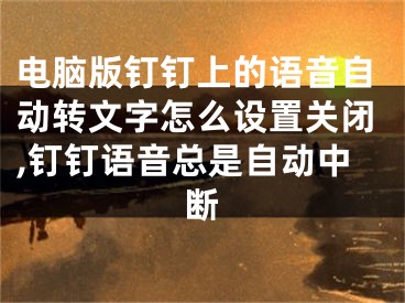 电脑版钉钉上的语音自动转文字怎么设置关闭,钉钉语音总是自动中断