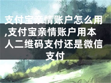 支付宝亲情账户怎么用,支付宝亲情账户用本人二维码支付还是微信支付