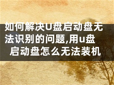 如何解决U盘启动盘无法识别的问题,用u盘启动盘怎么无法装机