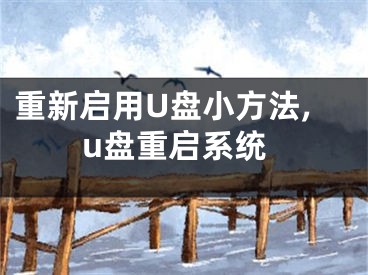重新启用U盘小方法,u盘重启系统