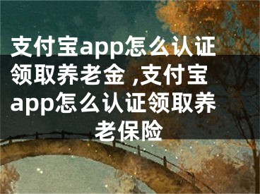 支付宝app怎么认证领取养老金 ,支付宝app怎么认证领取养老保险