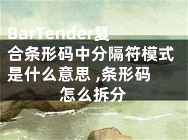 BarTender复合条形码中分隔符模式是什么意思 ,条形码怎么拆分