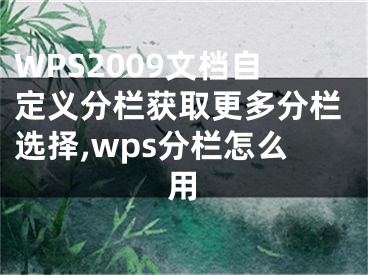 WPS2009文档自定义分栏获取更多分栏选择,wps分栏怎么用